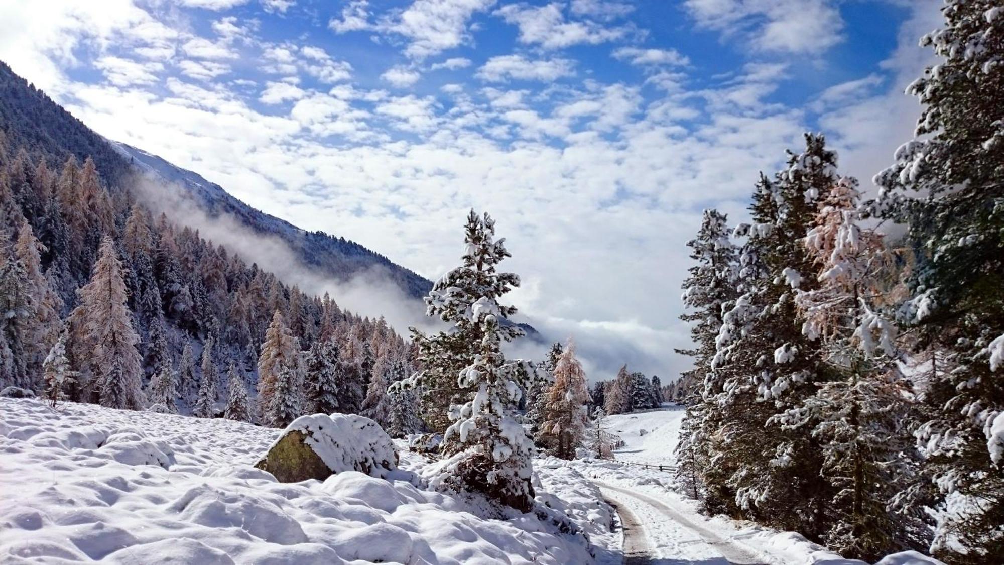 Residence Sonnberg Perca Dış mekan fotoğraf